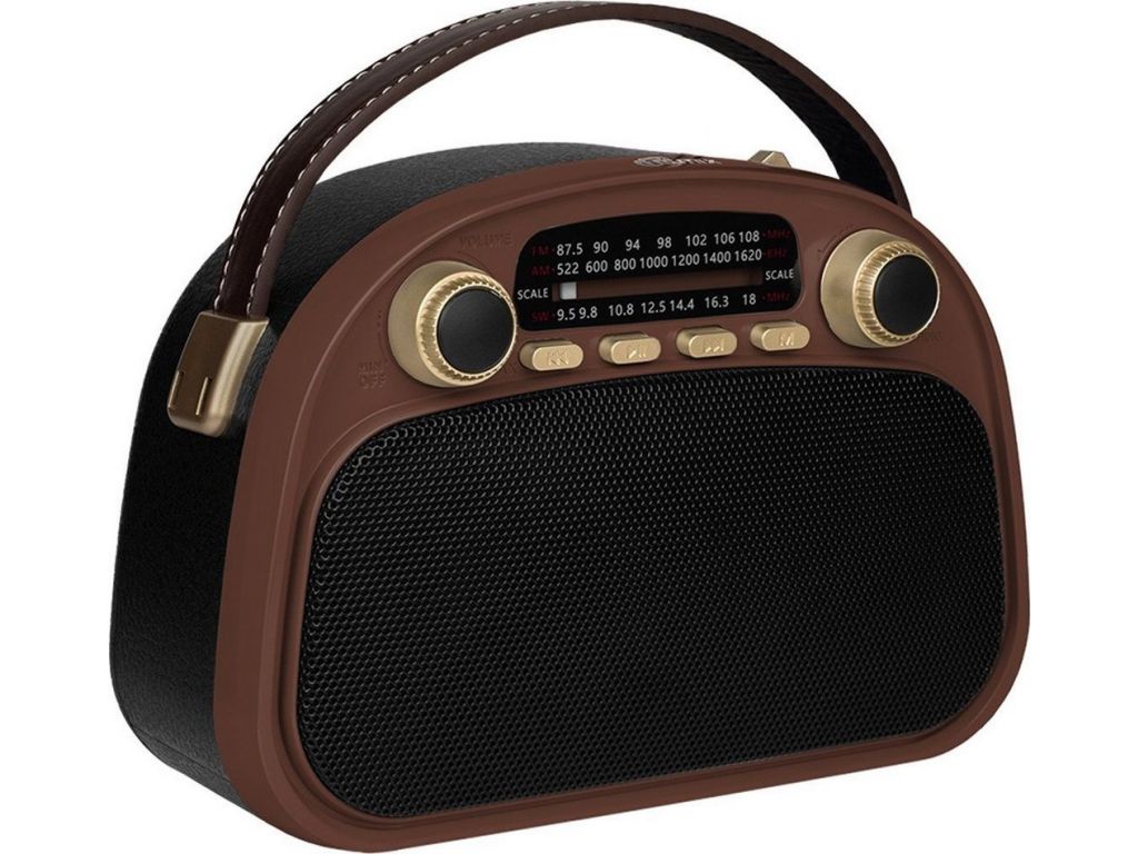 Радиоприемник Ritmix RPR-040 (шоколадный)