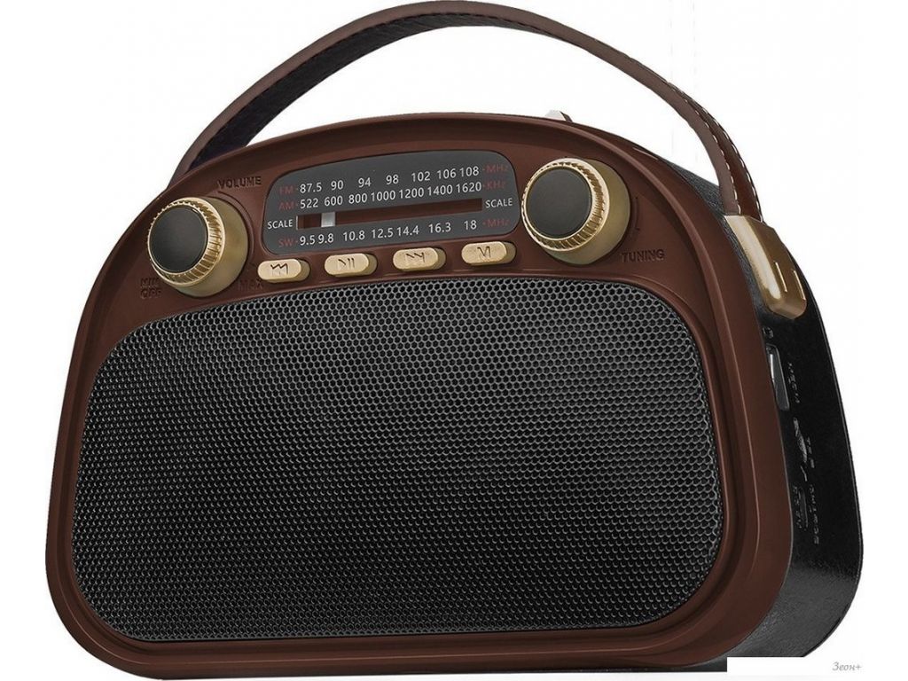 Радиоприемник Ritmix RPR-040 (шоколадный)