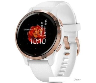   Garmin Venu 2S ( /)