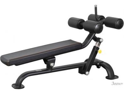   Bronze Gym BR-1005