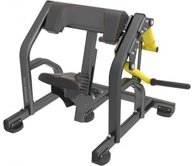 - Bronze Gym PL-1713