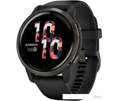   Garmin Venu 2 (  /)