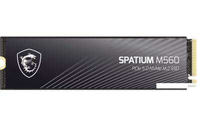SSD MSI Spatium M560 2TB S78-440Q940-P83