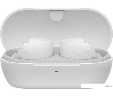  Sony WF-C710N ()