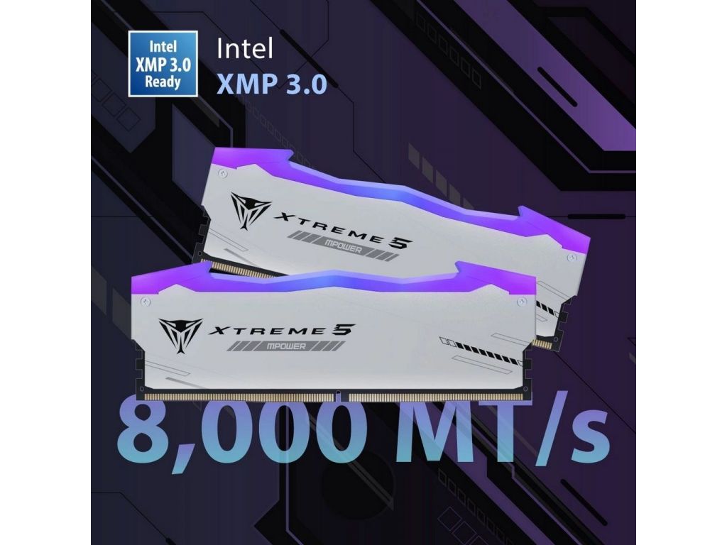 Оперативная память Patriot Viper Xtreme 5 2x24ГБ DDR5 6400 МГц PVXR548G64C32KM