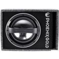 Корпусной активный сабвуфер Phoenix Gold Z110ABV2