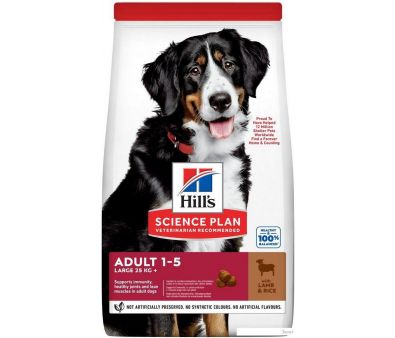     Hill's SP     ,     604373 14 