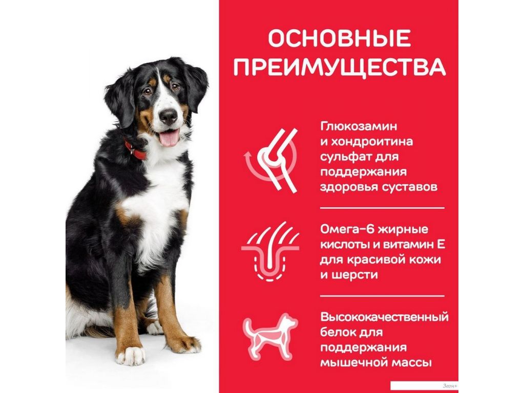 Сухой корм для собак Hill's SP для взрослых собак крупных пород, с ягненком и рисом 604373 14 кг
