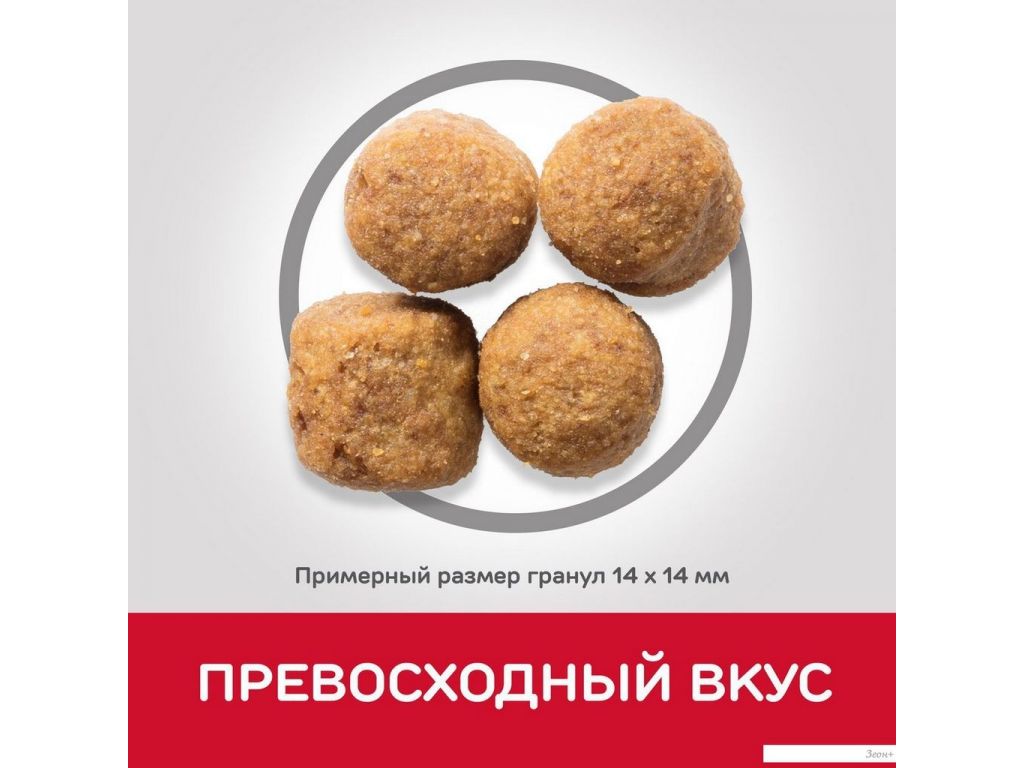 Сухой корм для собак Hill's SP для взрослых собак крупных пород, с ягненком и рисом 604373 14 кг
