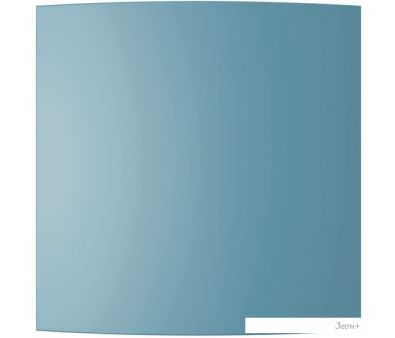   ERA PQ4 (blueberry)