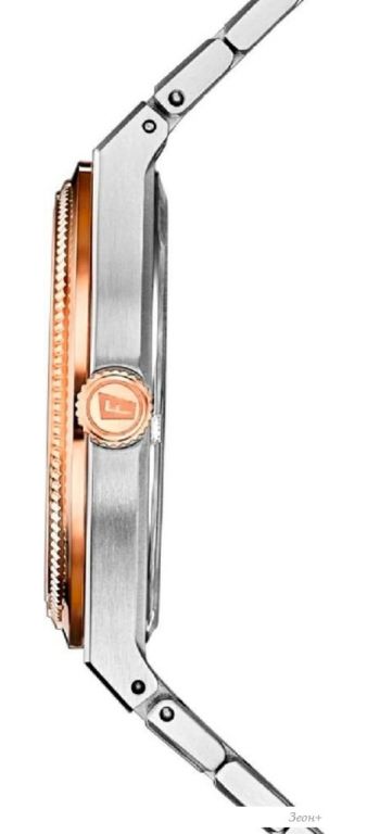 Наручные часы Festina F20066-1
