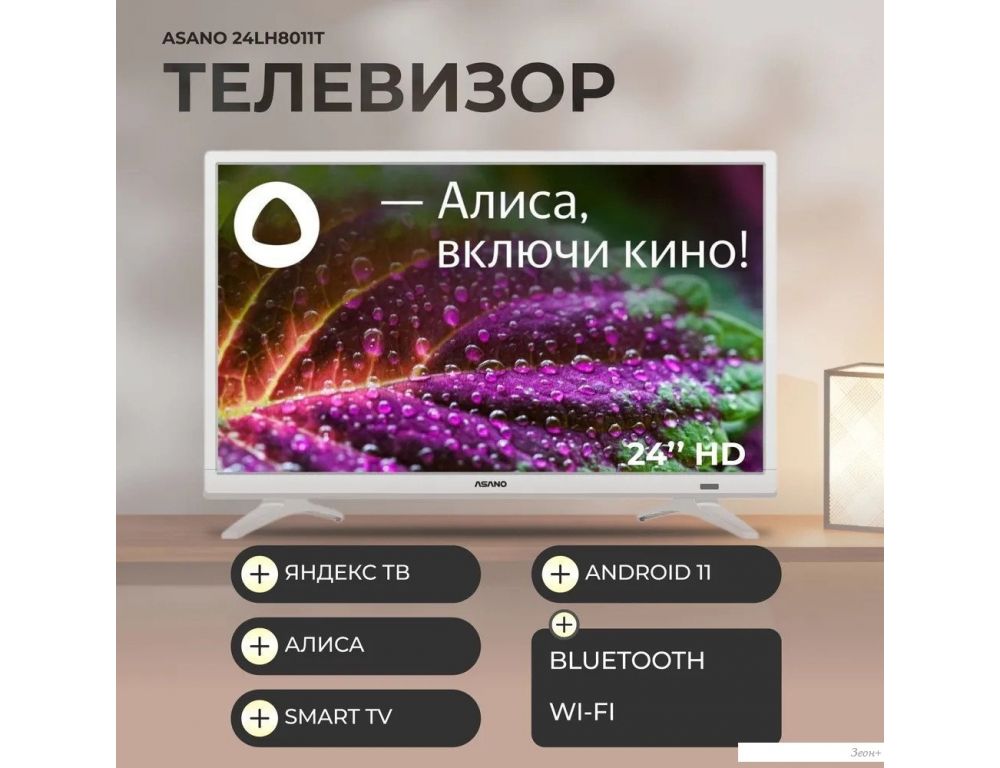 Телевизор ASANO 24LH8011T