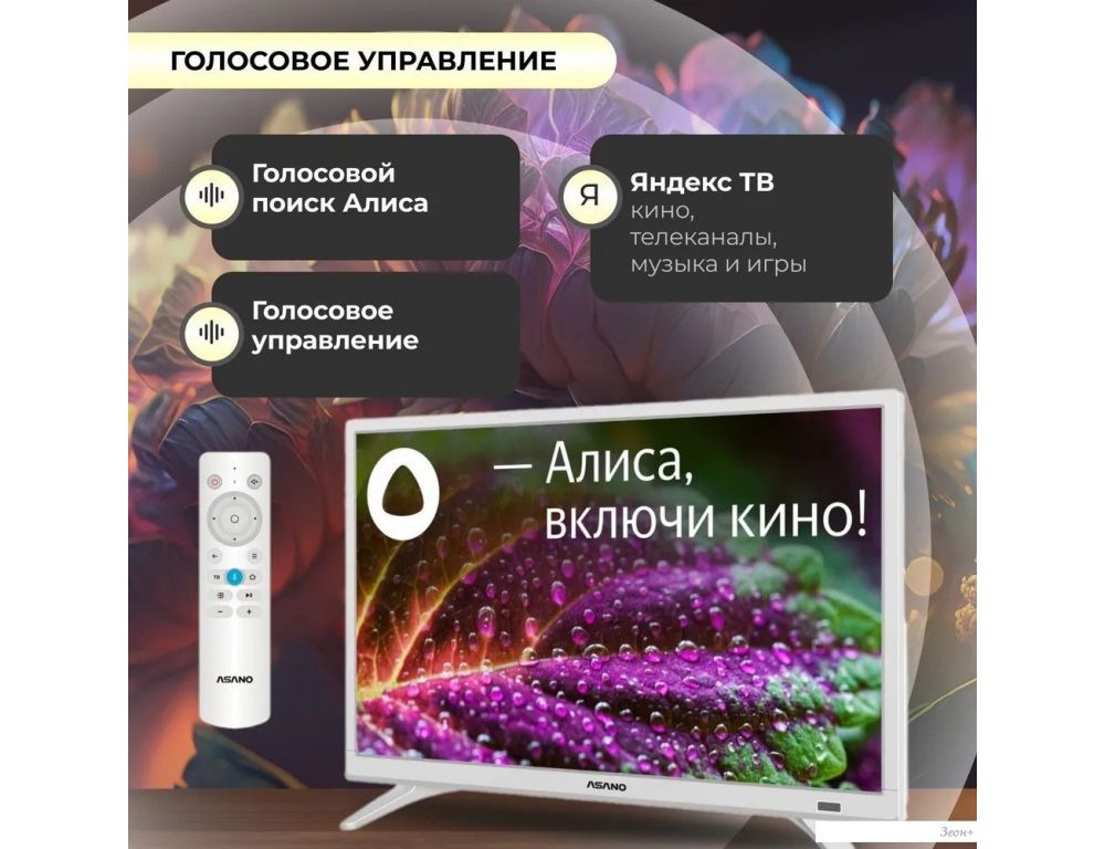 Телевизор ASANO 24LH8011T