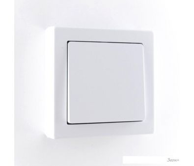   Timex Jowisz JWBL-WNT8 ()