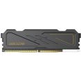 Оперативная память Hiksemi Armor 16ГБ DDR4 3200 МГц HSC416U32D2