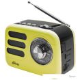  Ritmix RPR-033 ()