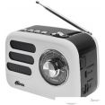  Ritmix RPR-033 ()