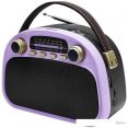  Ritmix RPR-040 ()