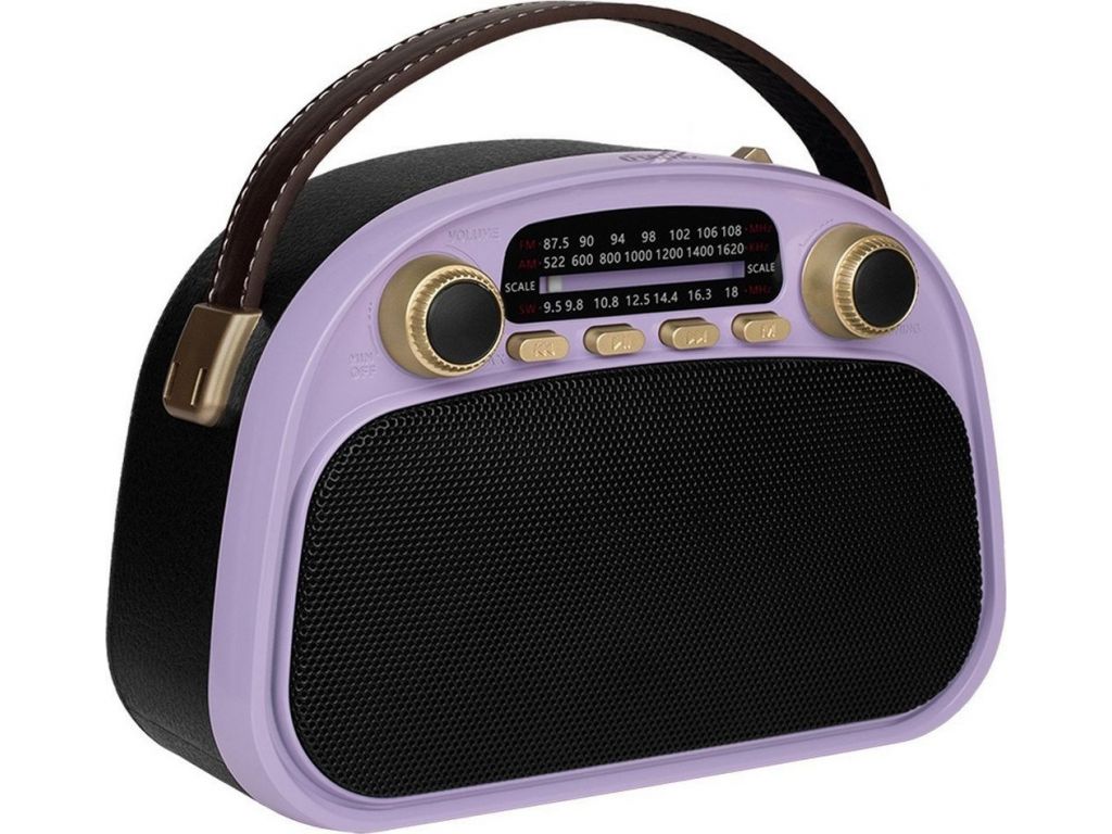 Радиоприемник Ritmix RPR-040 (лавандовый)