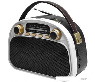 Ritmix RPR-040 ()