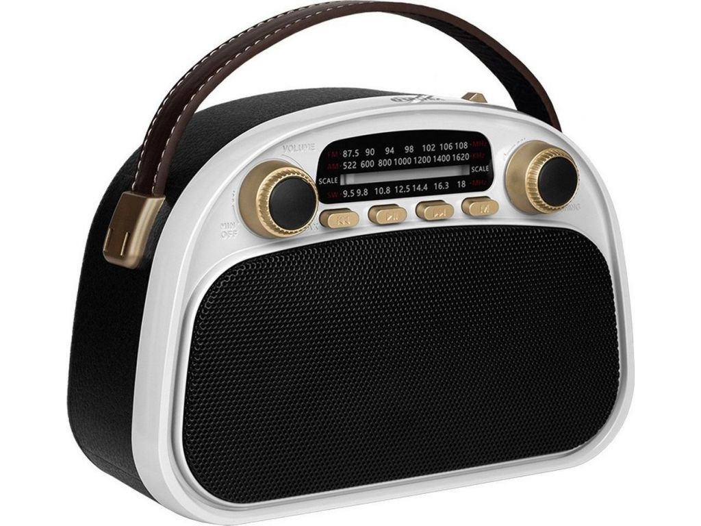 Радиоприемник Ritmix RPR-040 (белый)