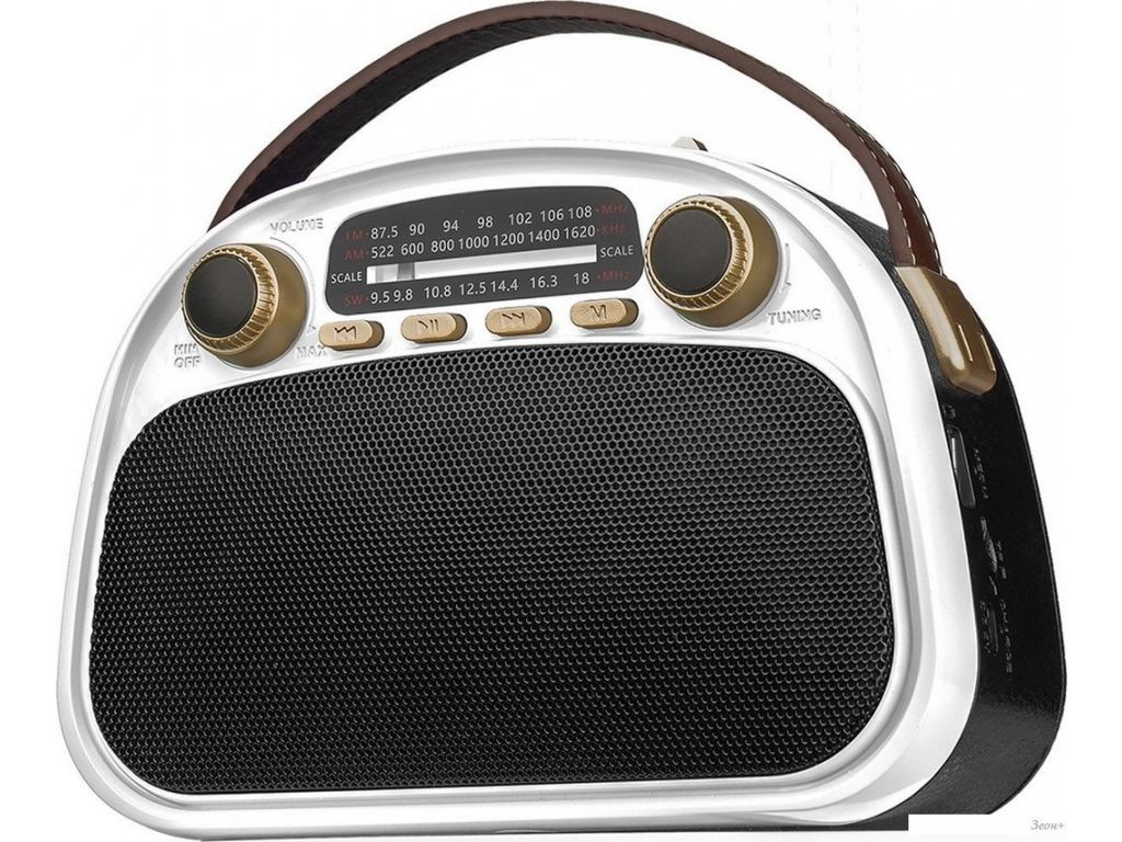 Радиоприемник Ritmix RPR-040 (белый)