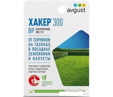  Avgust  300 (9 )