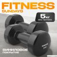 Набор гантелей Sundays IR92005 2x5 кг (черный)