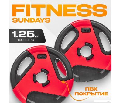 Набор дисков Sundays IR91041 2x1.25 кг