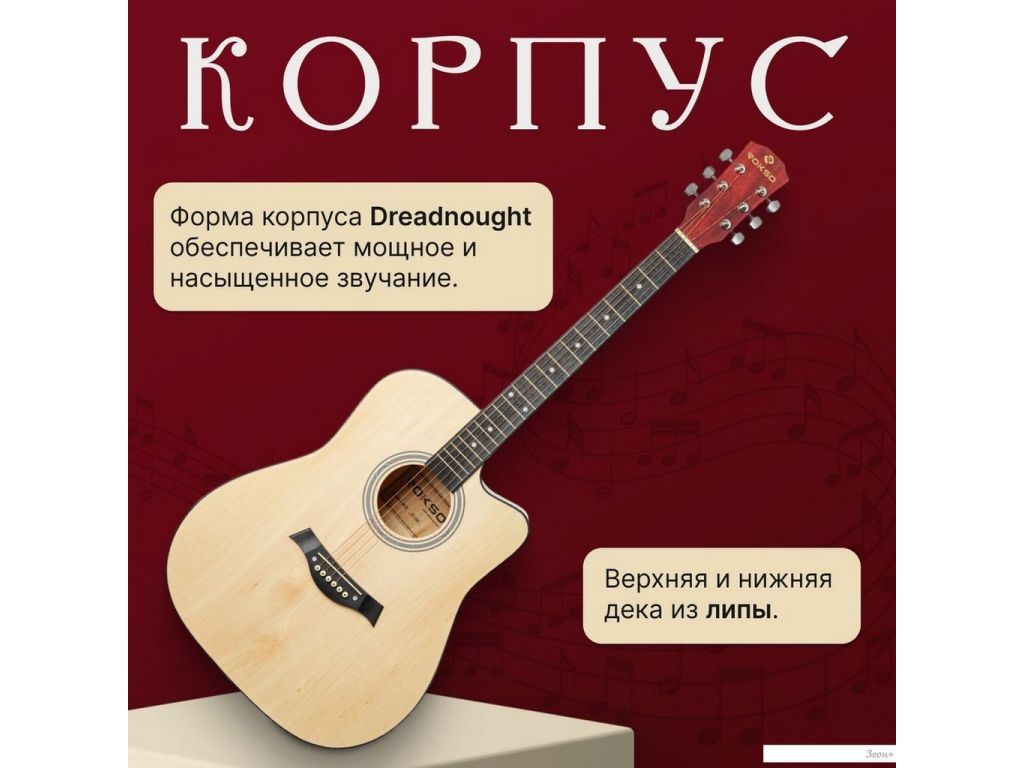 Акустическая гитара ROKSO FT-221-N