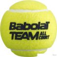  Babolat Team All Court (4 )