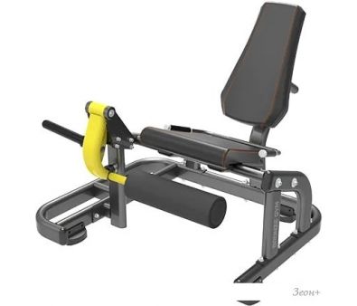    Bronze Gym PL-1711