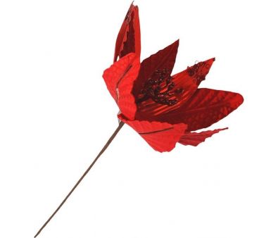   MonAmi TM25-056D-RED