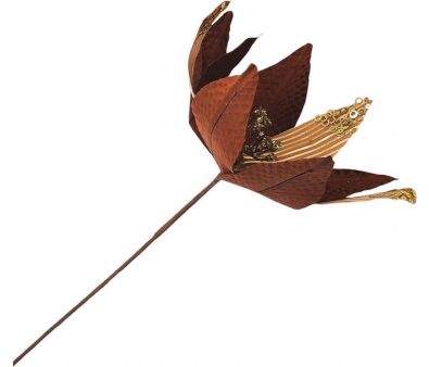   MonAmi TM25-056B-NATURAL