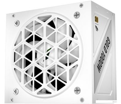   1stPlayer NGDP Gold 1000W HA-1000BA4-WH