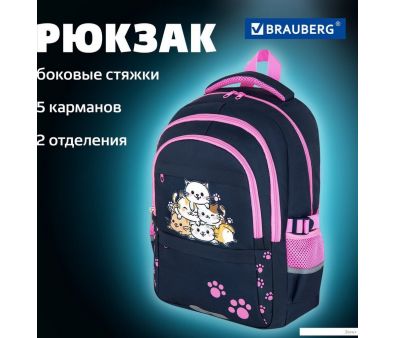   BRAUBERG Vibe Cat meeting 272089