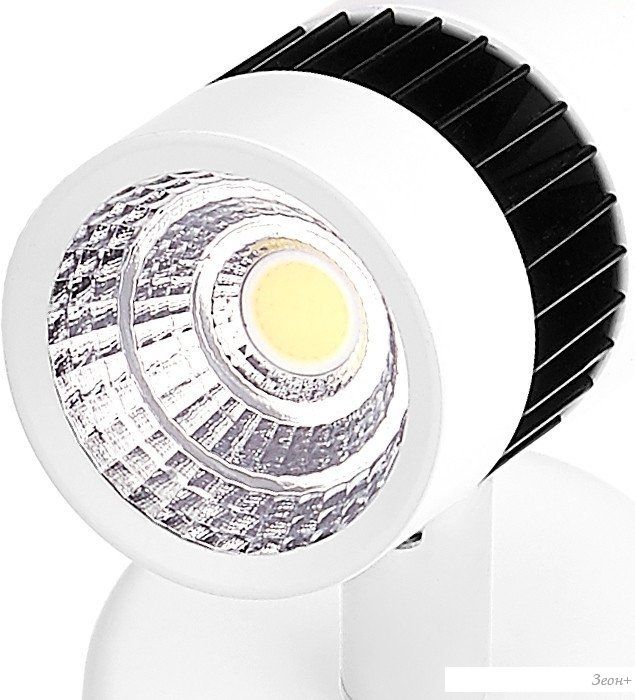 Спот Ambrella light TN101/10W WH/BK (белый)