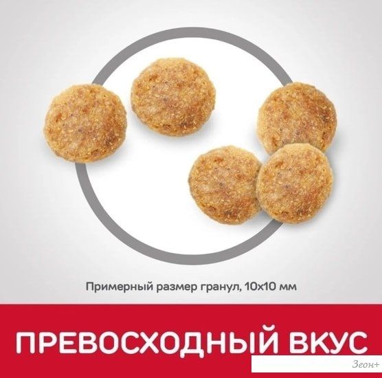 Сухой корм для кошек Hill's Science Plan Adult 1-6 Chicken для взрослых кошек для поддержания жизненной энергии и иммунитета, с курицей 10 кг