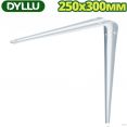  Dyllu DTZJ1310