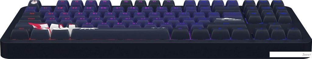 Клавиатура Red Square Alumix TKL Classic Kitsune (черный, g3ms Aquamarine)