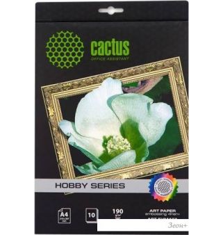  CACTUS  A4 190 /.. 10  (CS-DA419010L)