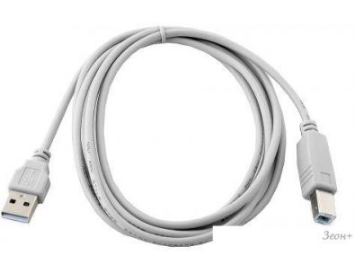  Cablexpert CC-USB2-AMBM-6