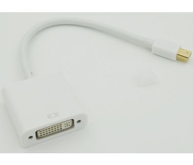  Display port mini (male) to DVI (female)