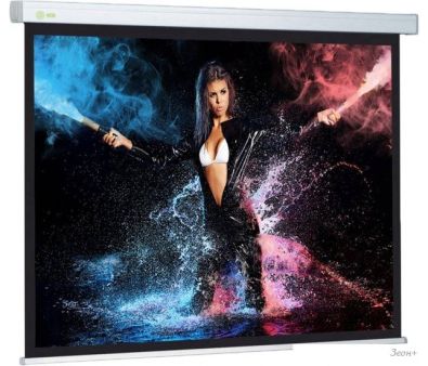   CACTUS Wallscreen CS-PSW-168x299