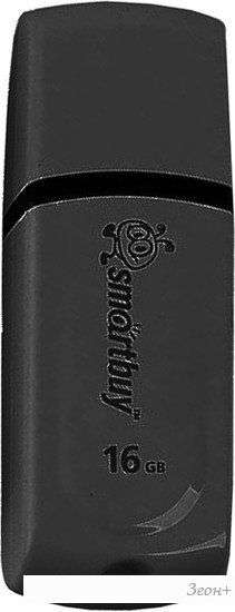 USB Flash Smart Buy Paean 16GB Black (SB16GBPN-K)