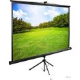 Проекционный экран CACTUS TriExpert 220x165 CS-PSTE-220х165-BK