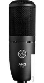  AKG P120