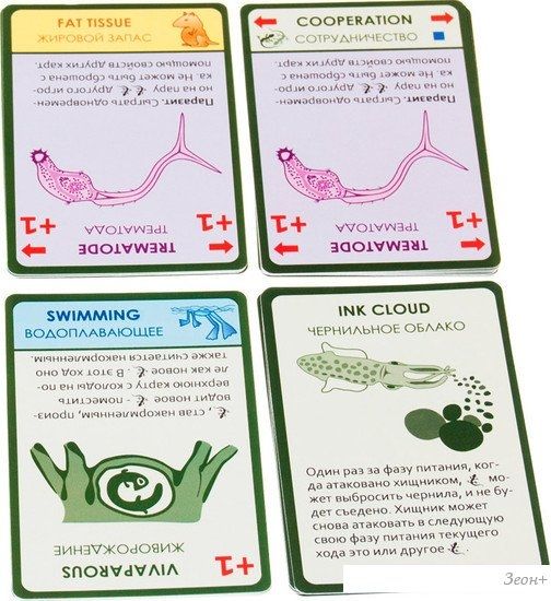 Настольная игра Правильные игры Эволюция. Время летать (Evolution)