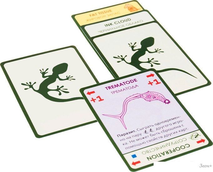 Настольная игра Правильные игры Эволюция. Время летать (Evolution)