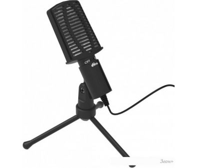   Ritmix RDM-125